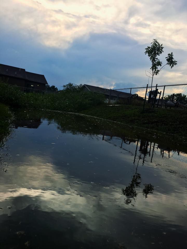 Storm